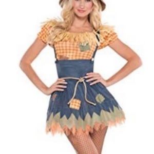 Scarecrow adult costume